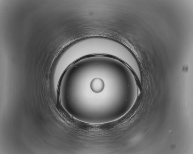 X0000097880203200803141327
