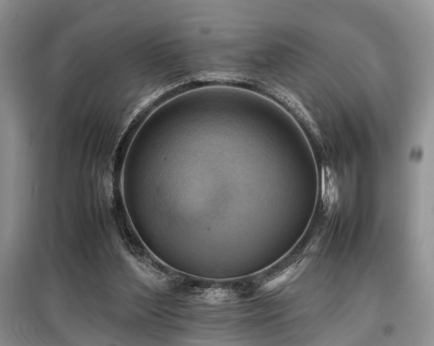 X0000097880204200803141327