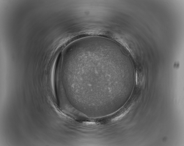 X0000097880205200803141327