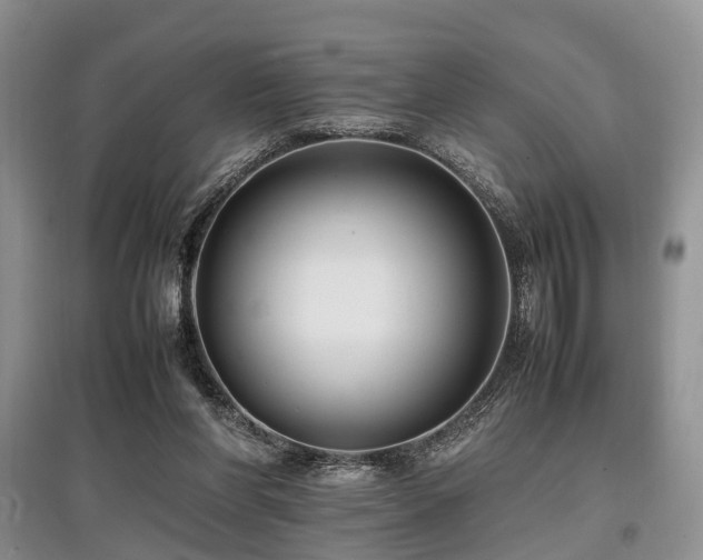 X0000097880206200803141327