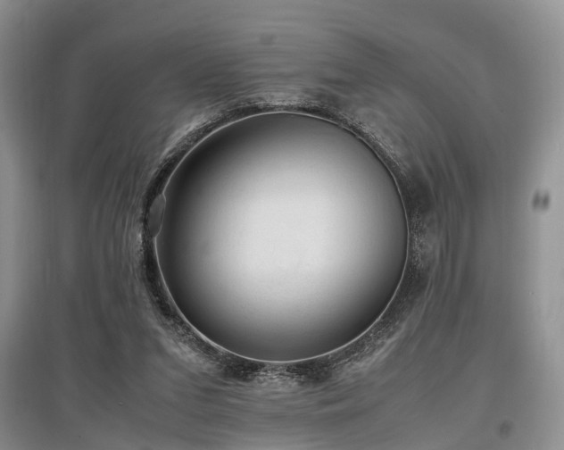 X0000097880207200803141327