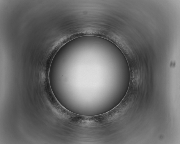 X0000097880208200803141327