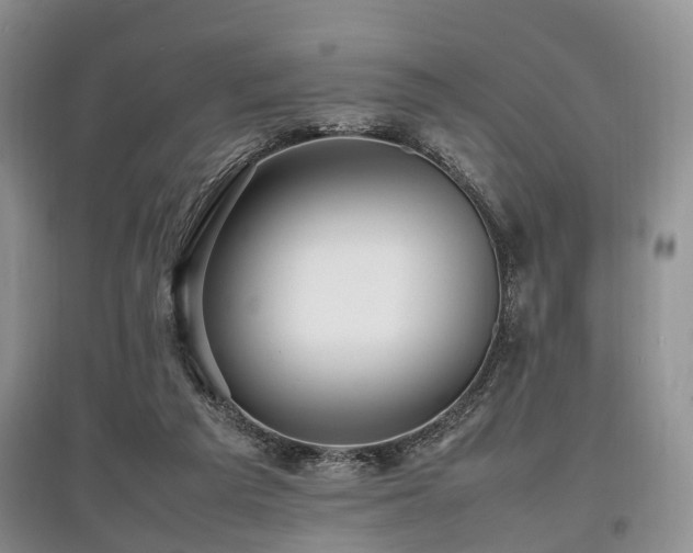 X0000097880209200803141327