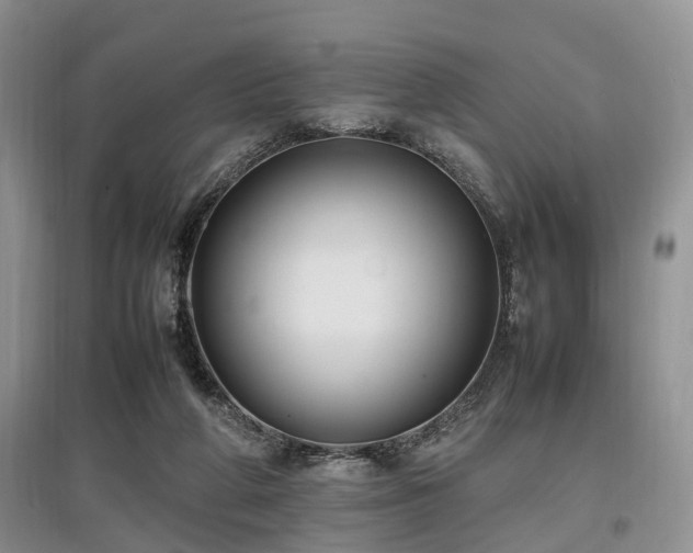X0000097880210200803141327