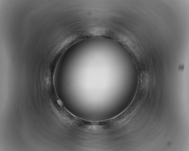 X0000097880212200803141327
