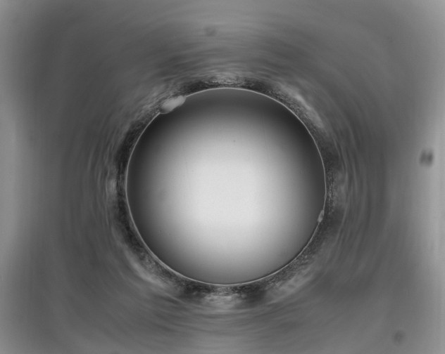 X0000097880213200803141327