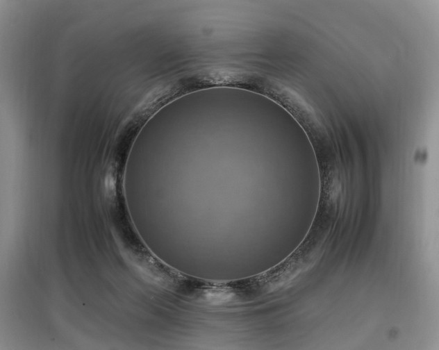 X0000097880214200803141327