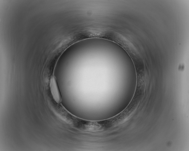 X0000097880215200803141327