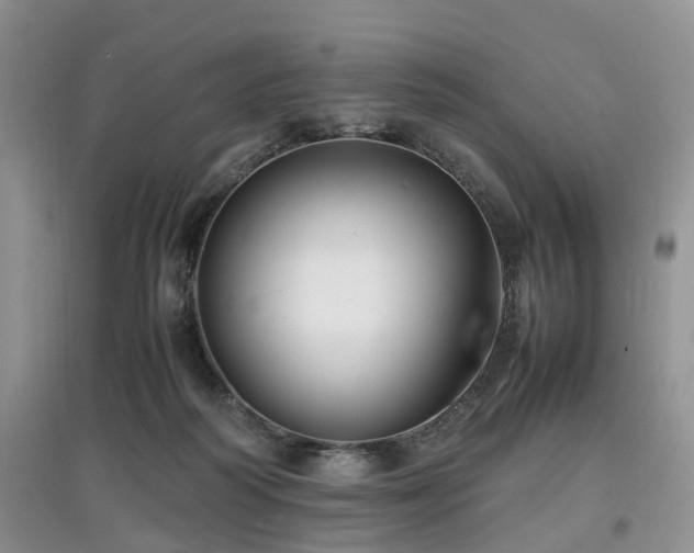 X0000097880218200803141327