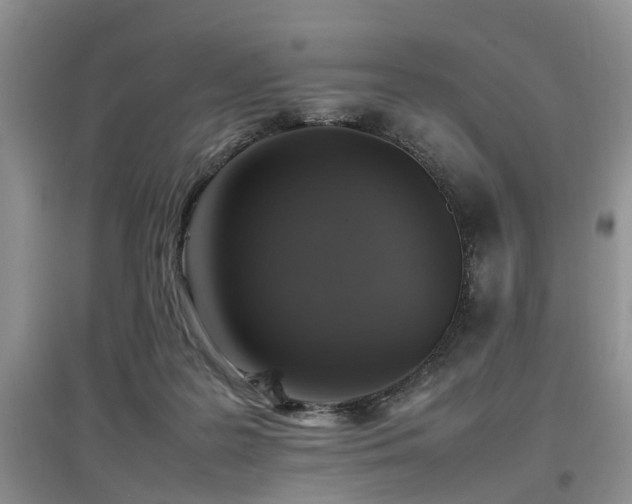 X0000097880219200803141327