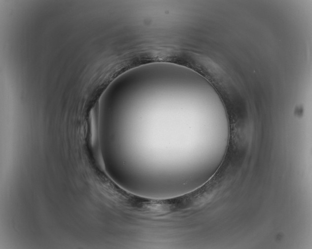 X0000097880221200803141327