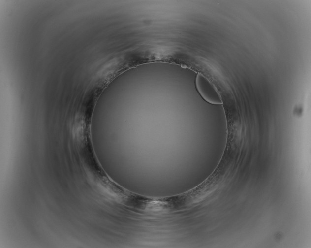 X0000097880222200803141327