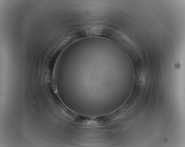 X0000097880224200803141327