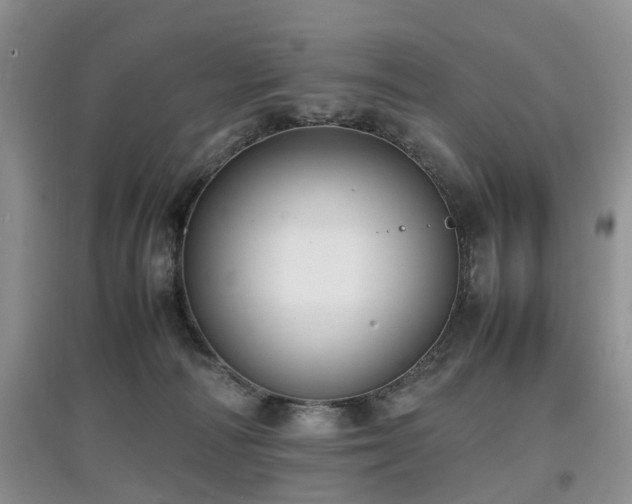 X0000097880226200803141327