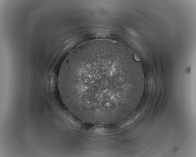 X0000097880228200803141327
