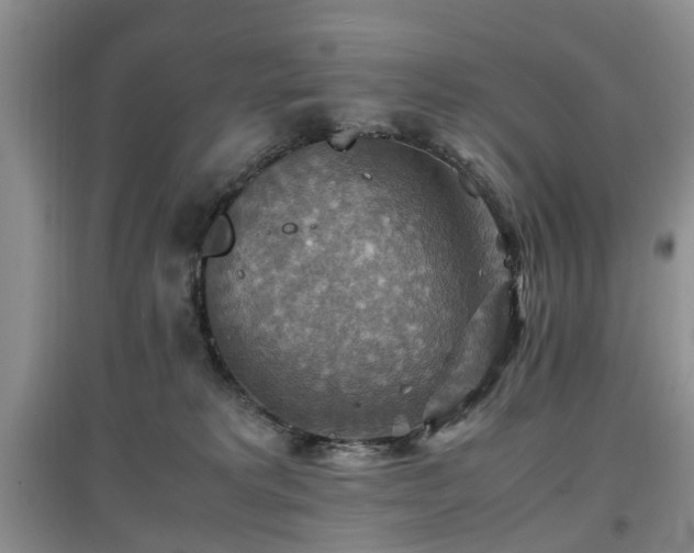X0000097880229200803141327