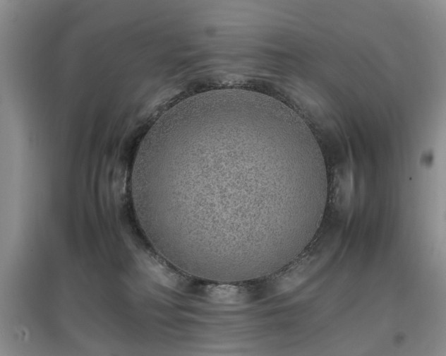 X0000097880230200803141327
