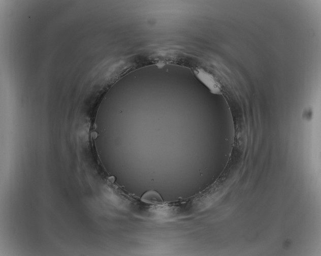 X0000097880231200803141327