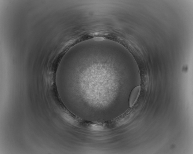 X0000097880232200803141327