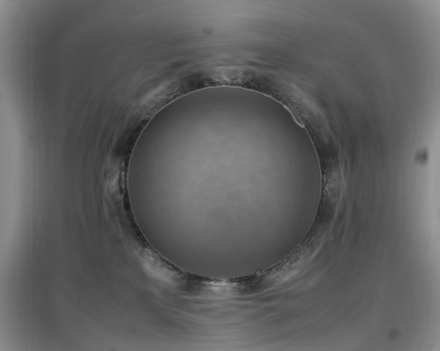 X0000097880233200803141327