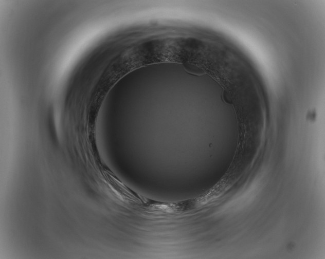 X0000097880239200803141326