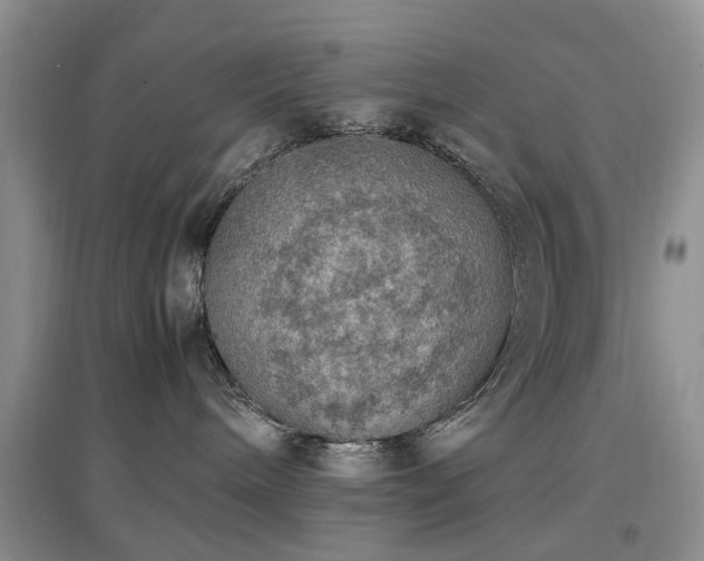 X0000097880240200803141326