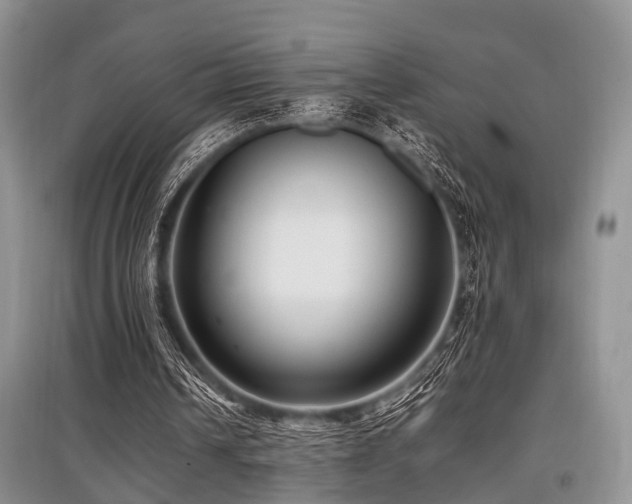 X0000097880242200803141326