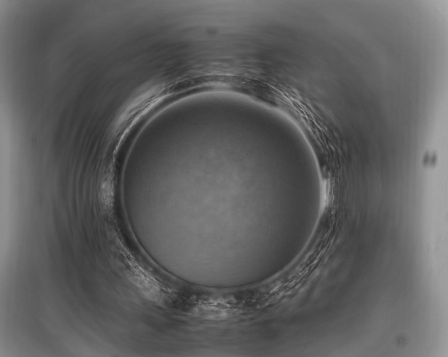 X0000097880243200803141326