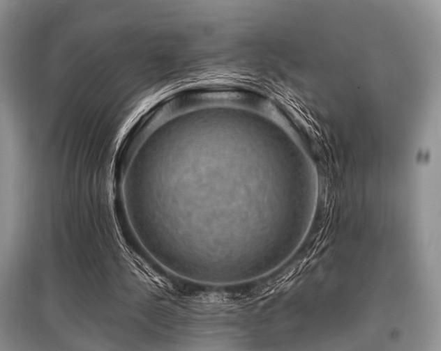 X0000097880244200803141326