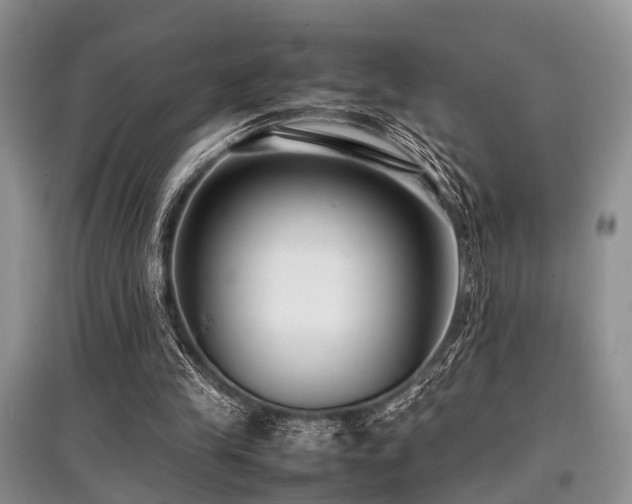 X0000097880245200803141326