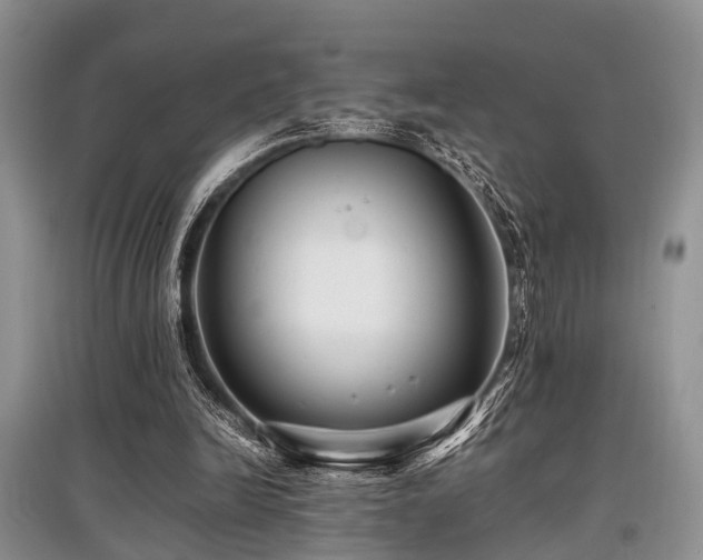 X0000097880246200803141326