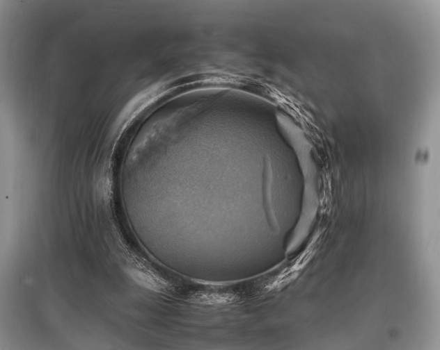 X0000097880247200803141326