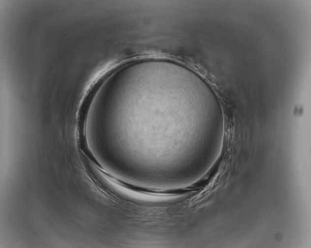 X0000097880248200803141326