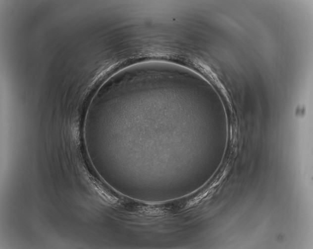 X0000097880249200803141326