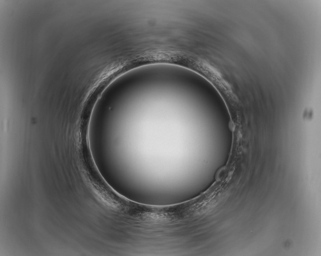 X0000097880250200803141326