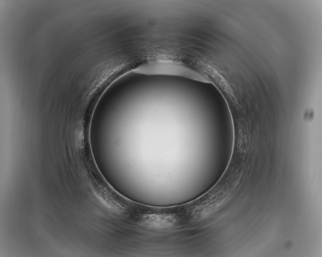 X0000097880251200803141326