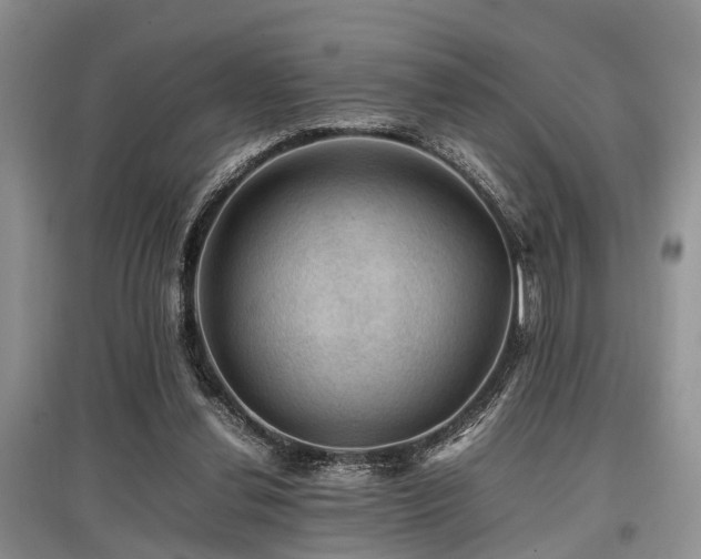X0000097880252200803141326