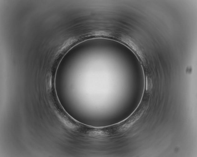 X0000097880253200803141326