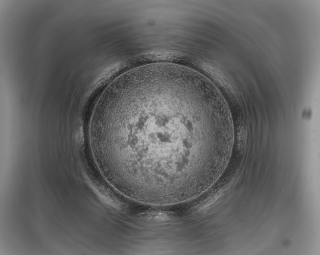 X0000097880254200803141326
