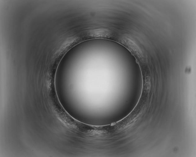 X0000097880255200803141326