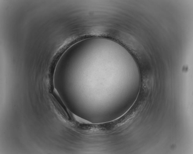 X0000097880256200803141326