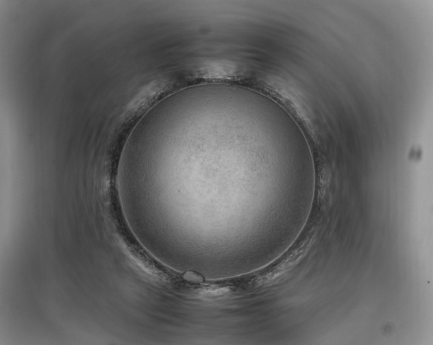 X0000097880257200803141326
