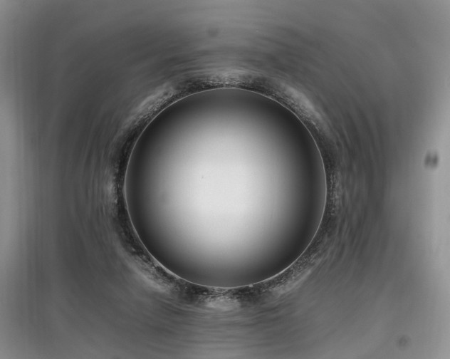 X0000097880258200803141326