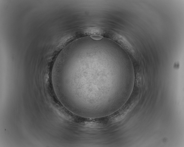 X0000097880259200803141326