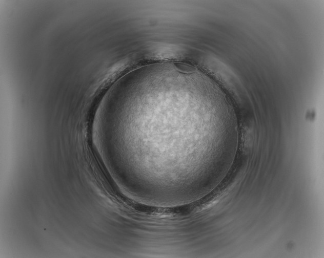 X0000097880260200803141326