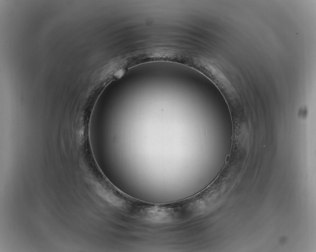 X0000097880261200803141326