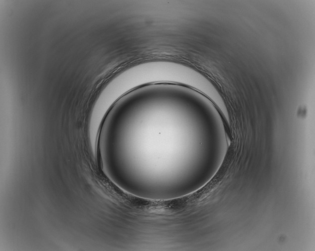X0000097880262200803141326