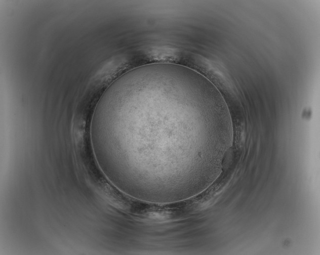 X0000097880263200803141326