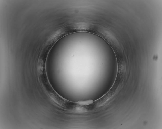 X0000097880264200803141326