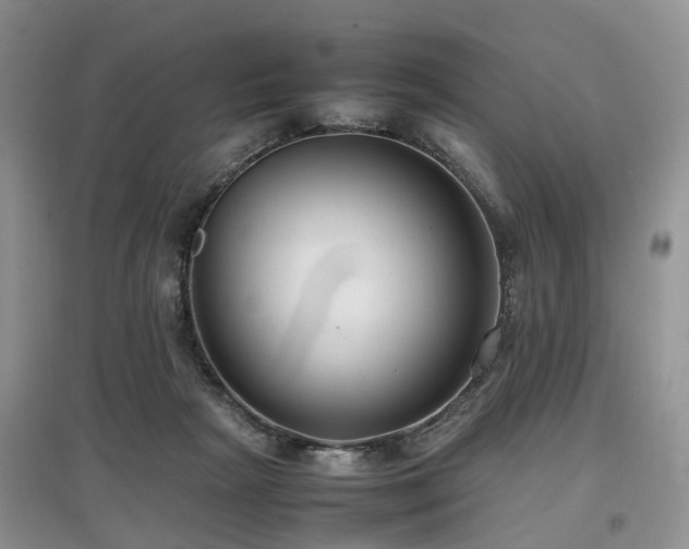 X0000097880265200803141326